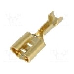 Terminal tip plat, pentru surub {{Orificiu pentru şurub}}, VOGT - 3831.60