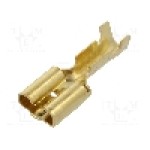 Terminal tip plat, pentru surub {{Orificiu pentru şurub}}, VOGT - 3832.60