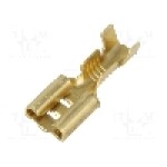 Terminal tip plat, pentru surub {{Orificiu pentru şurub}}, VOGT - 3833.60