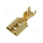 Terminal tip plat, pentru surub {{Orificiu pentru şurub}}, VOGT - 3835T.60