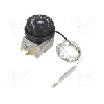 Senzor termostat cu capilar, {{Temperatura de deschidere}}, 400V AC, 10A, ARTHERMO - C704253470N Senzor termostat cu capilar, {{Temperatura de deschidere}}, 400V AC, 10A, ARTHERMO - C704253470N