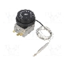 Senzor termostat cu capilar, {{Temperatura de deschidere}}, 400V AC, 10A, ARTHERMO - C704253470N